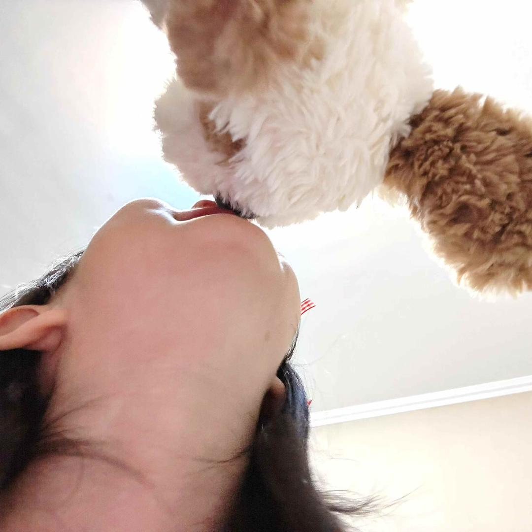 婉婉（神不愣登）