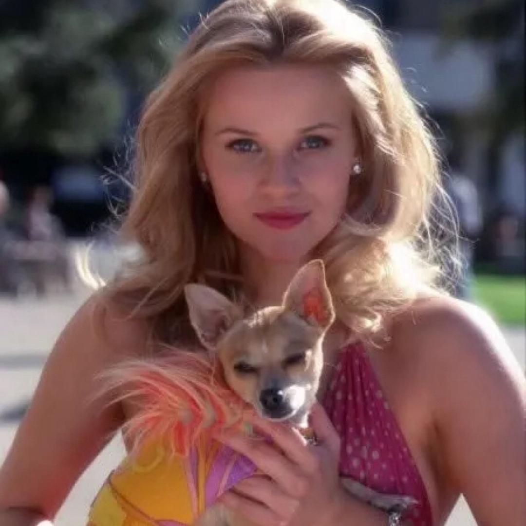 沐心（全力备考版）