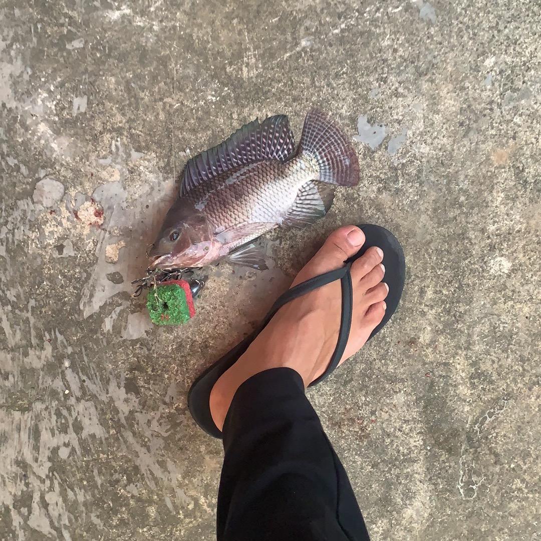 祥奇误究驶