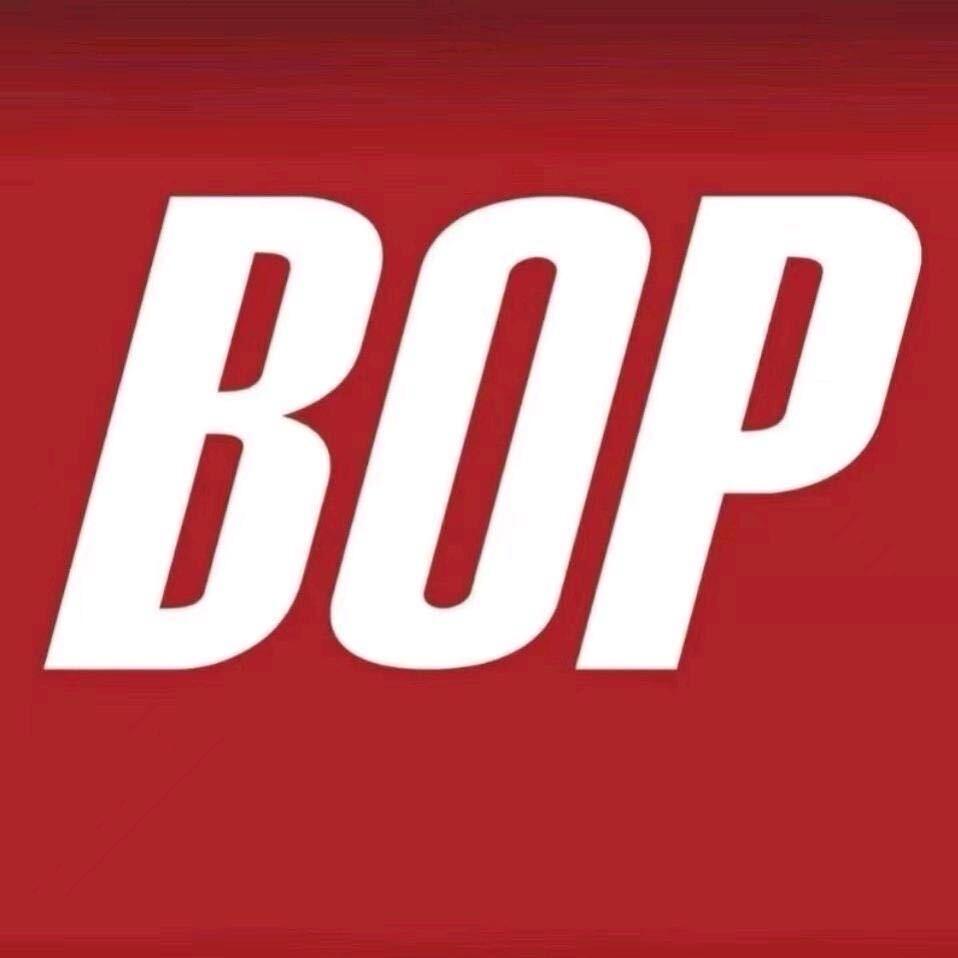 BOP保镖(义乌旗舰店)