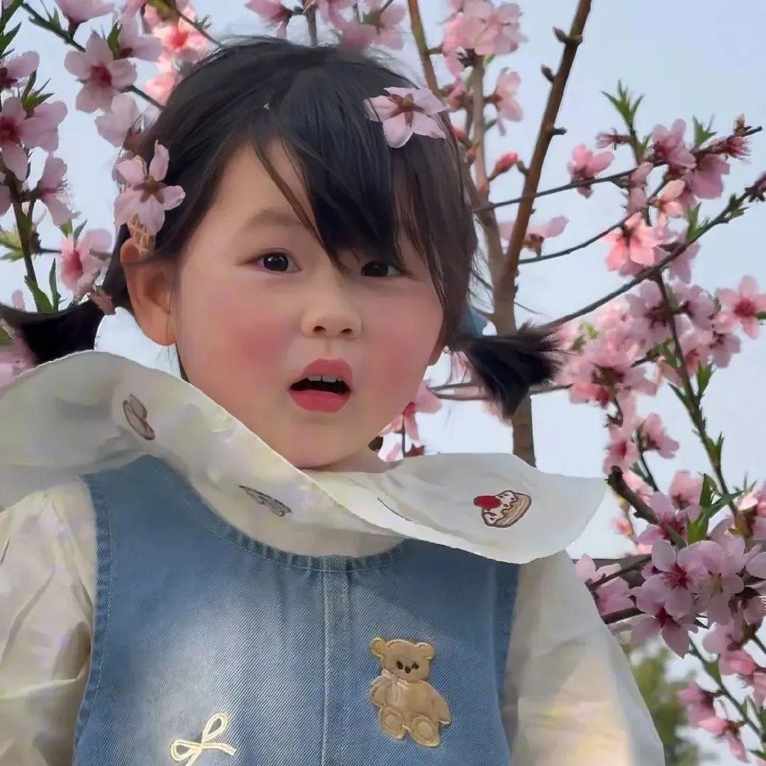 圆 圆🦋