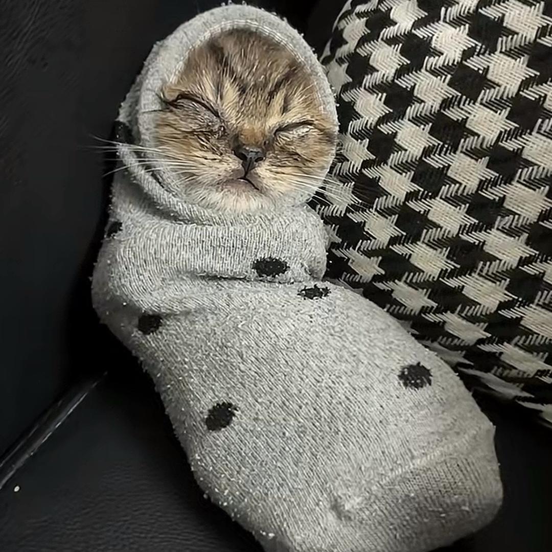 章喆