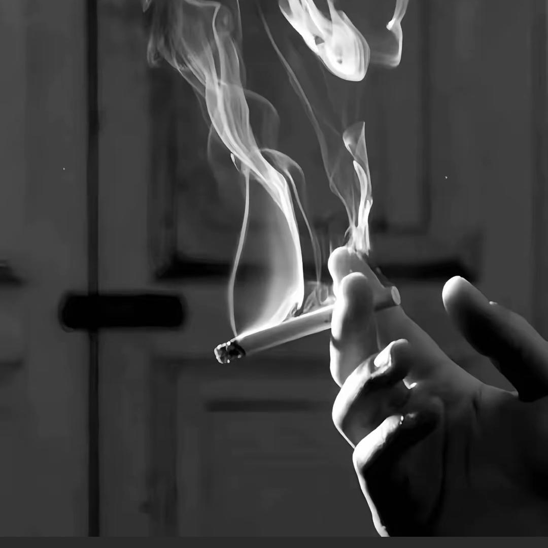 ࿐: ᨳᤢ້໌ᮩ乘风破浪໊ɞ᭄࿐