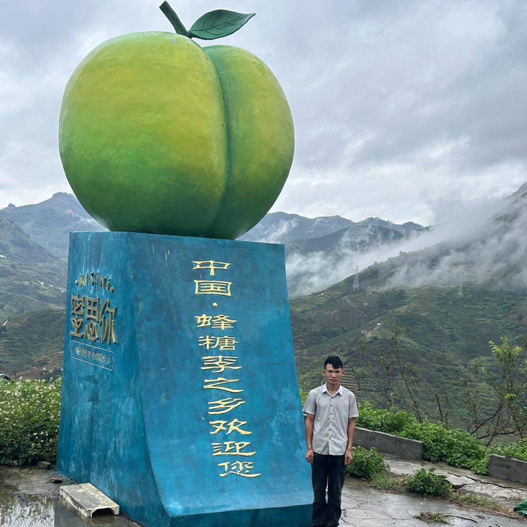 向徳顺六马蜂糖李果苗优选