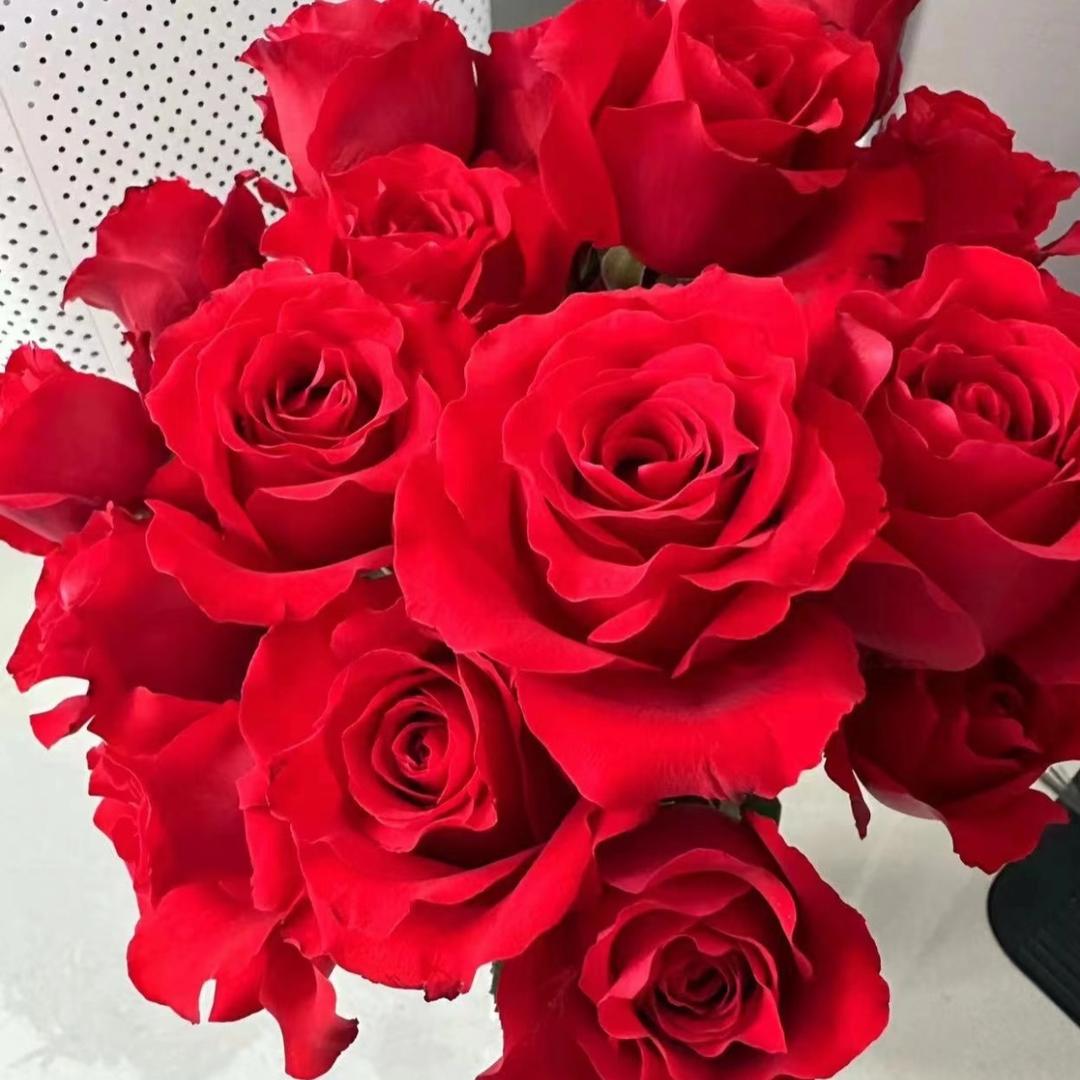 暴走杨-鲜花小号