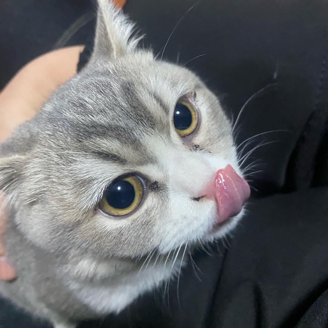 臻爱优选