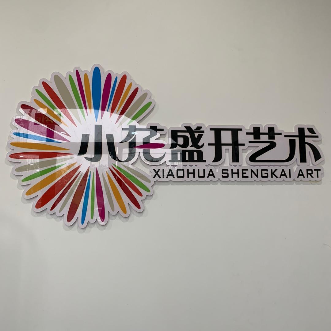 周口小花盛开舞蹈教育（招生中）