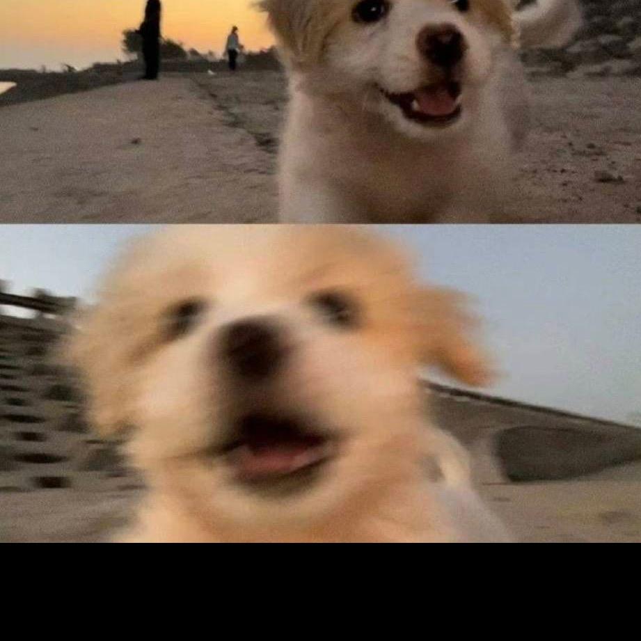柚子🫧