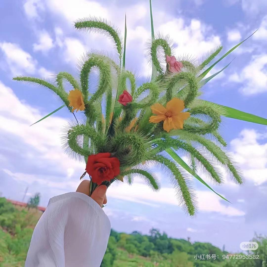 子夜/studio的头像