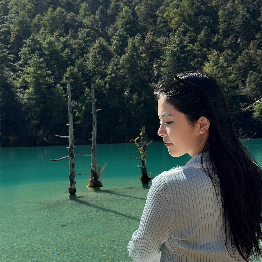 提灯女神经🪽