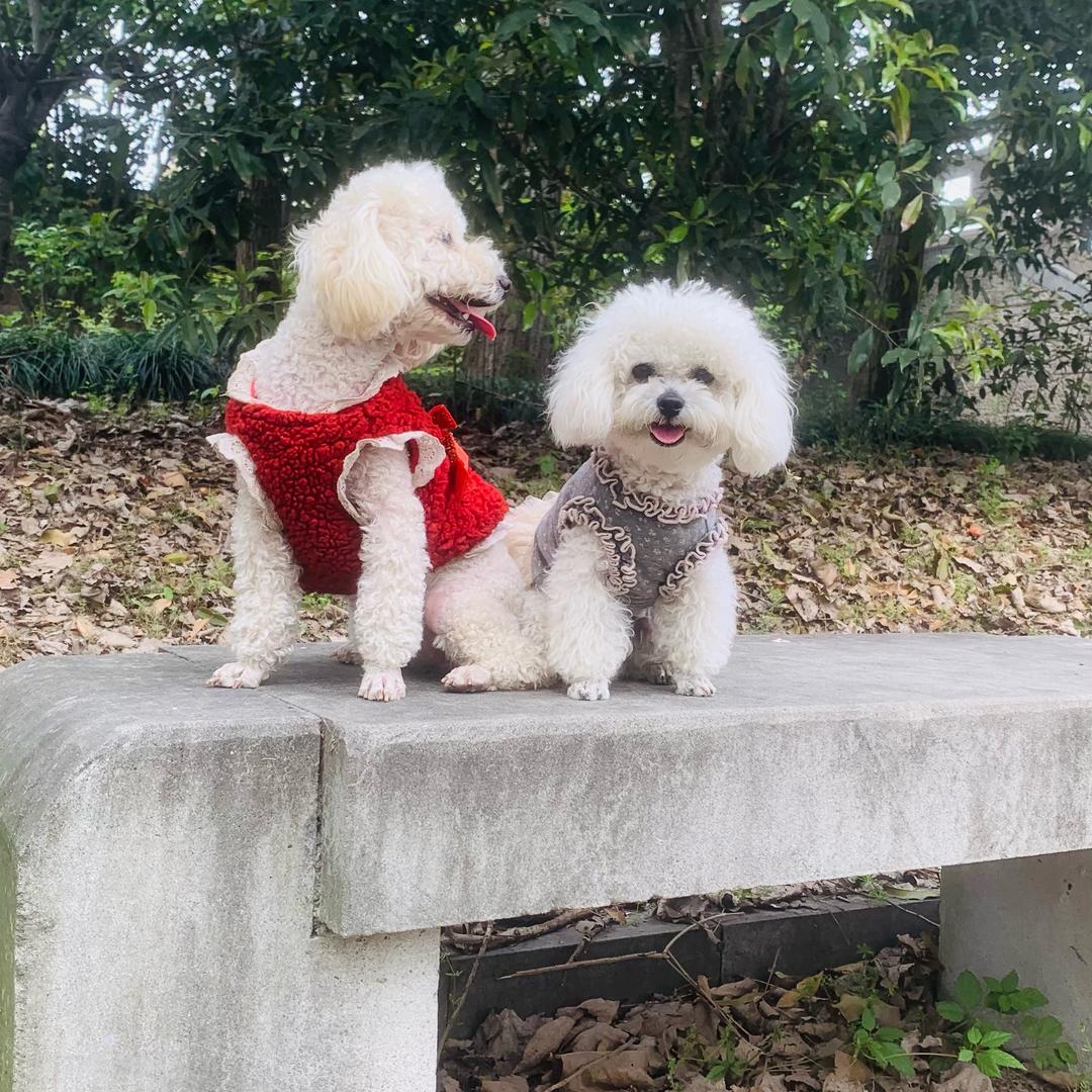 南欲辰🌻