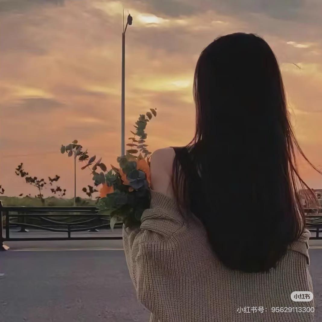 Qin✨