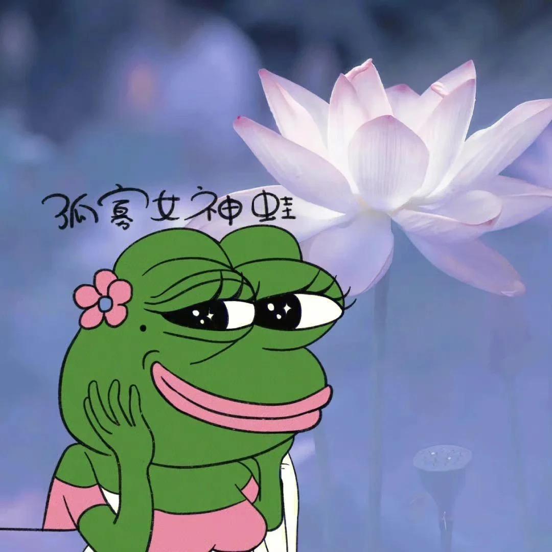 孤寡女神蛙🐸ʕ·͡˔·Ɂ