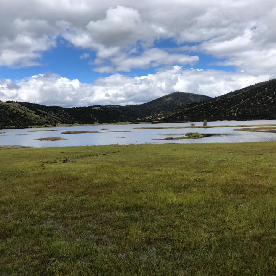 蔡记干调石磨香油