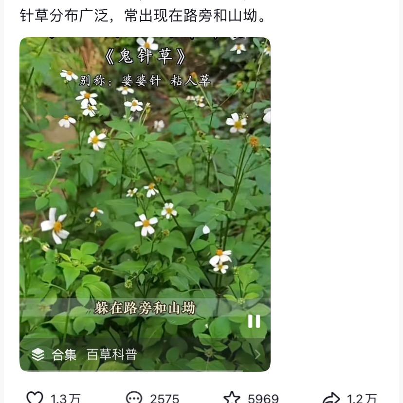 百伤果种植业