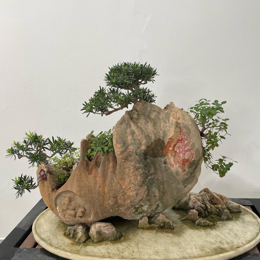 郭氏冻裂膏