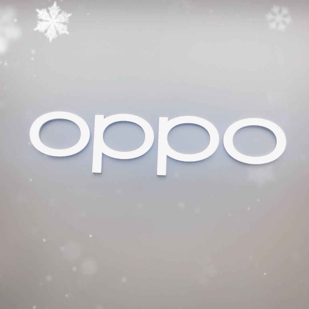 OPPO数码大名府店