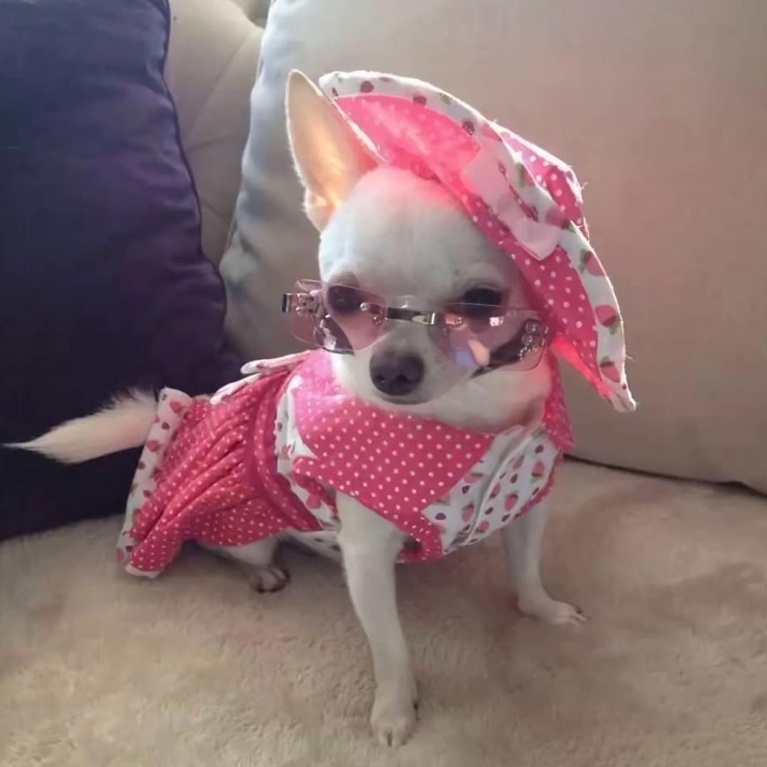 妈妈说我是富贵