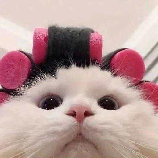 什么涵