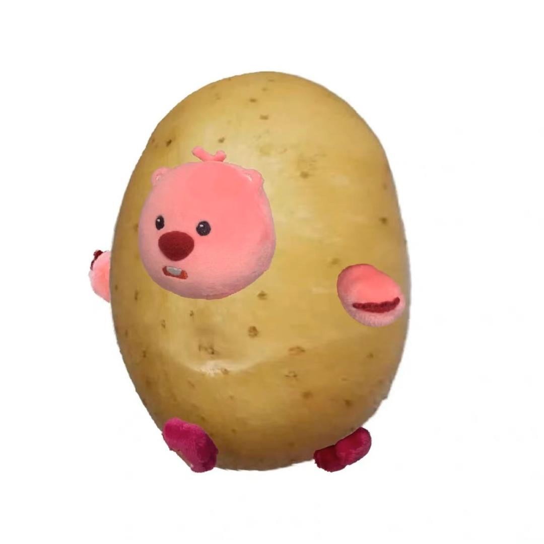 菠萝小宝