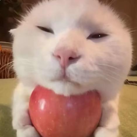 ᝰꪶಇe