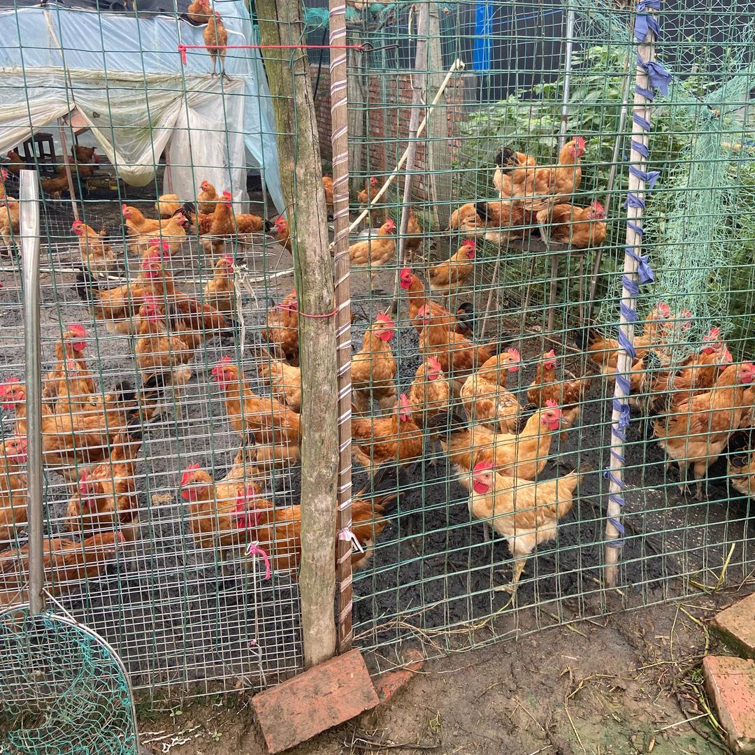 江湖少年💍️~@^_^@~单身