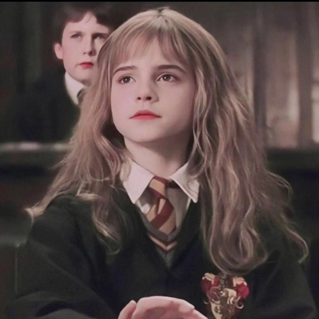 格兰芬多课代表V