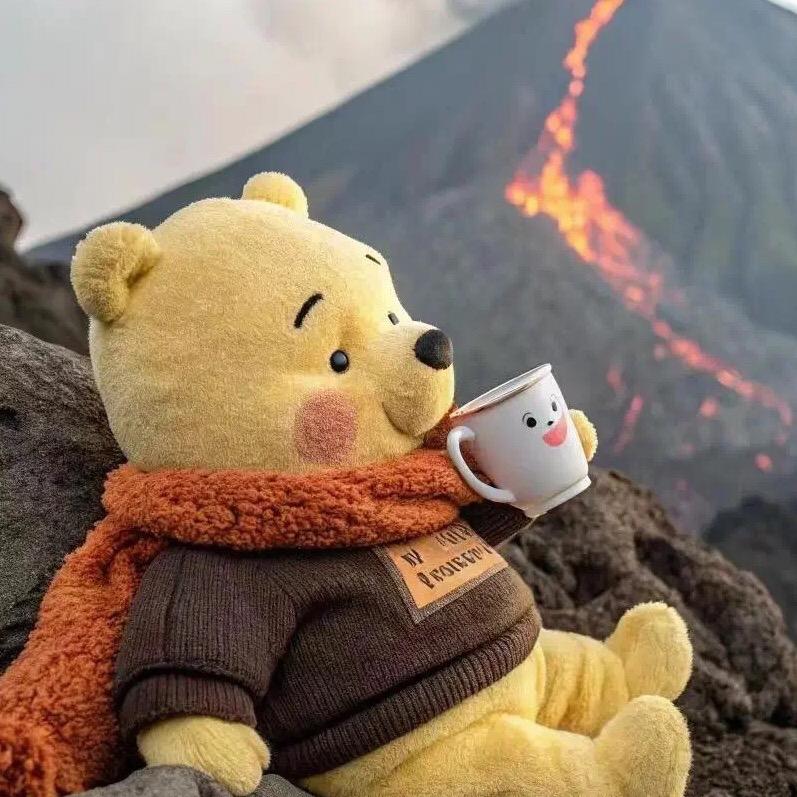 熊是个好熊🐻