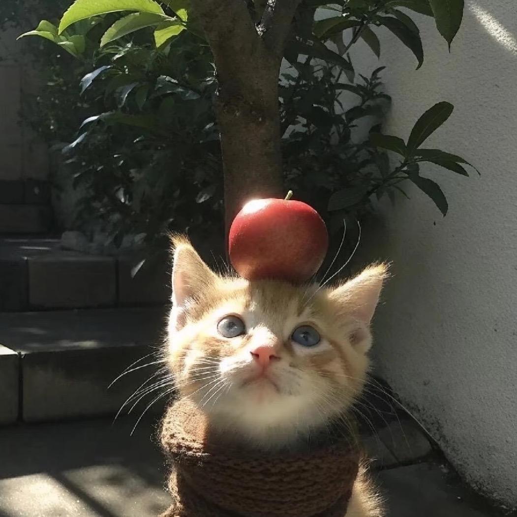炸虾公主🍤