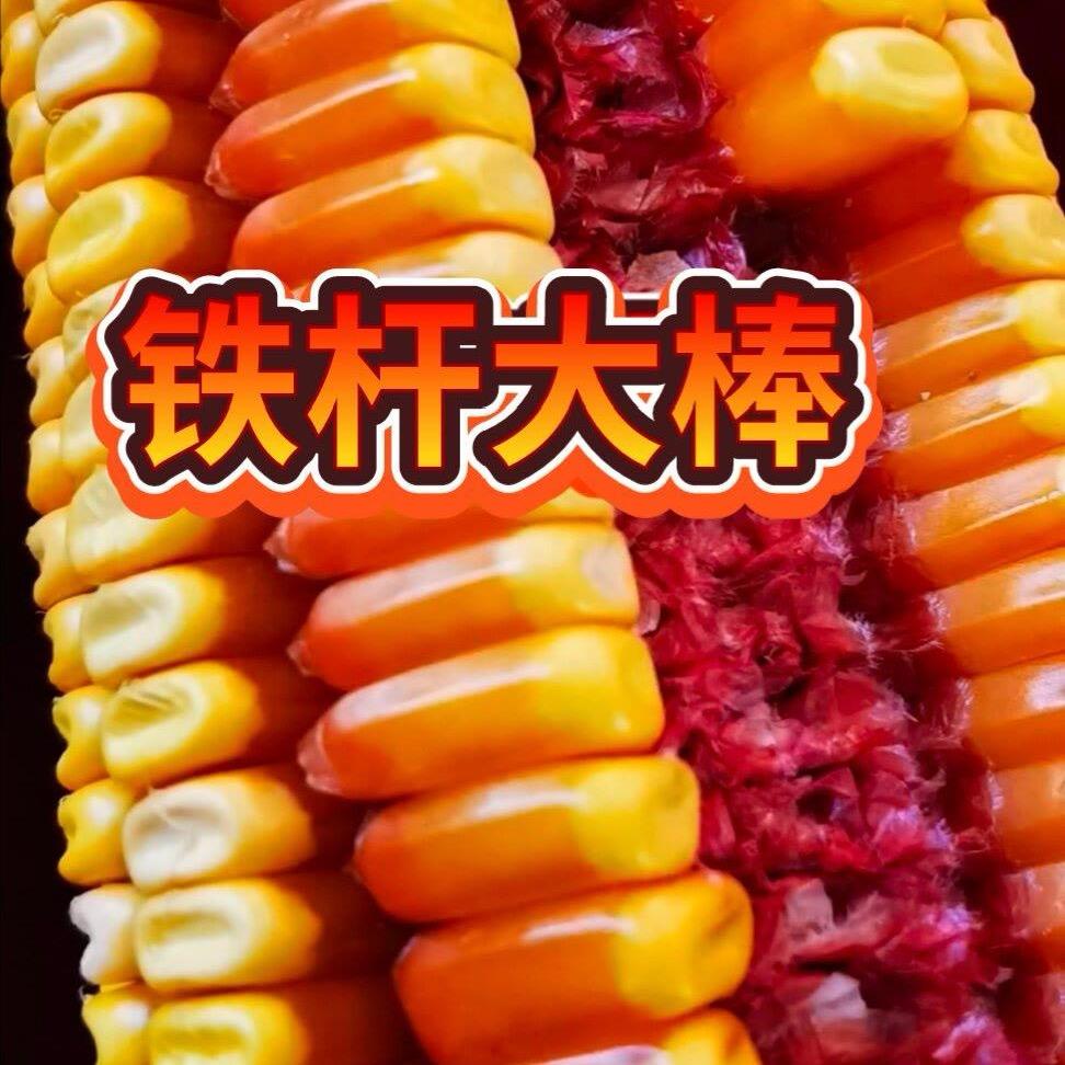 助农拿高产