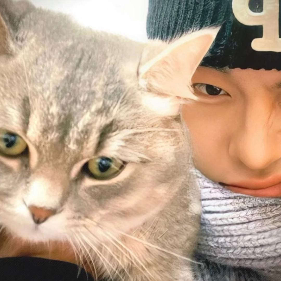 你我山巅自相逢.