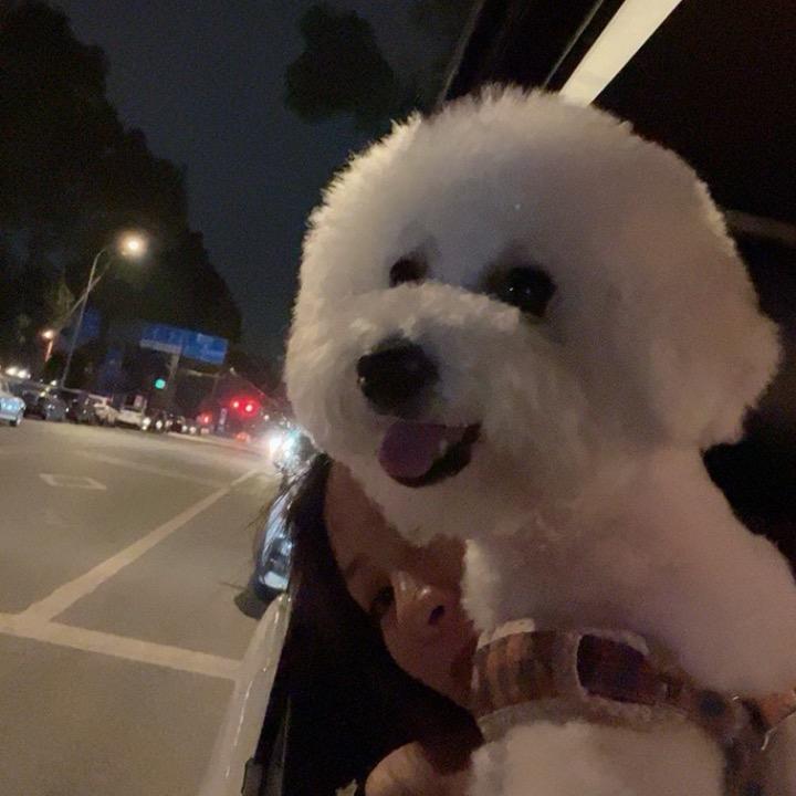 二🍷小🍺姐🥤