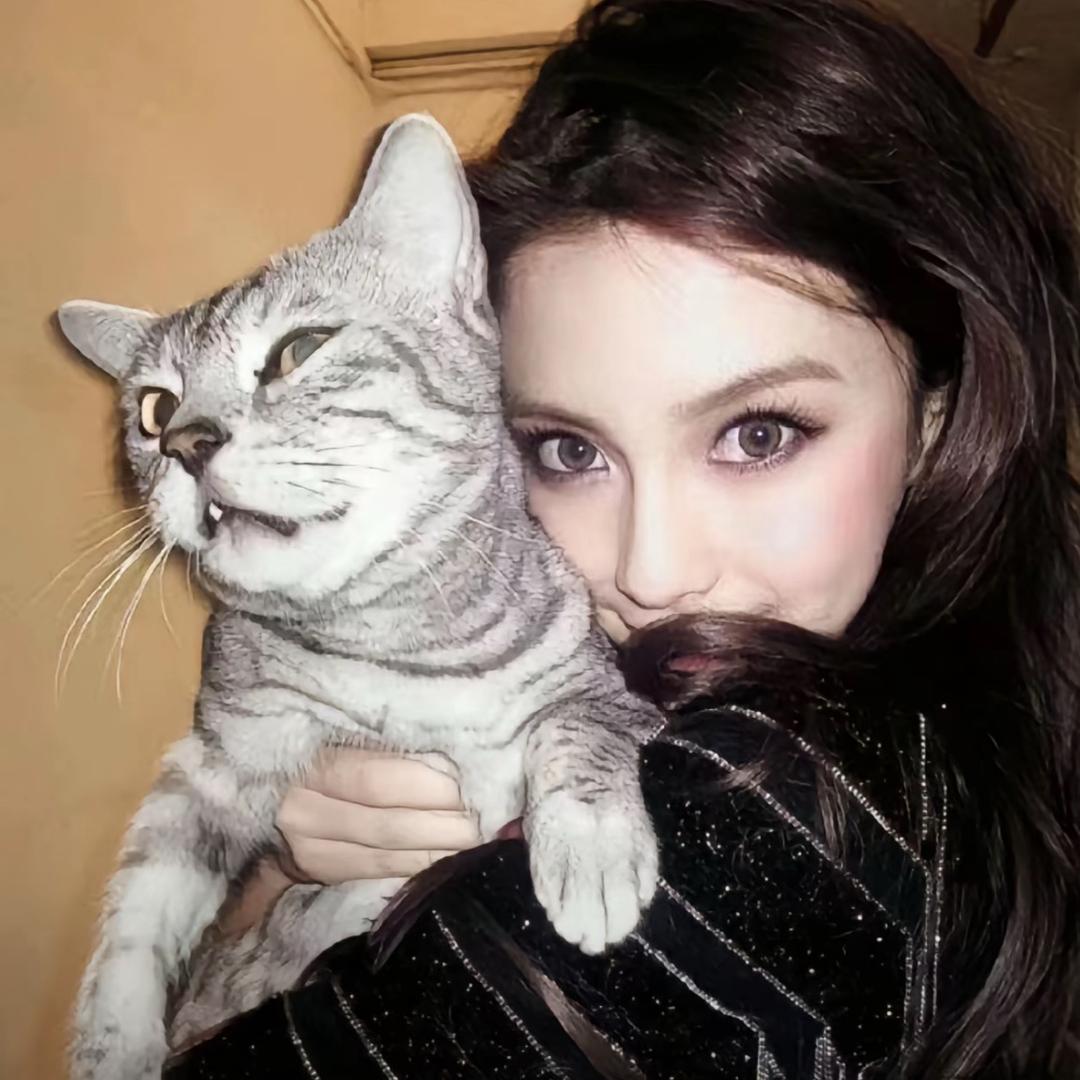 别来调戏老实人