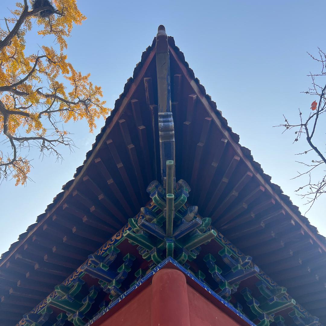 明明这又是一天😄