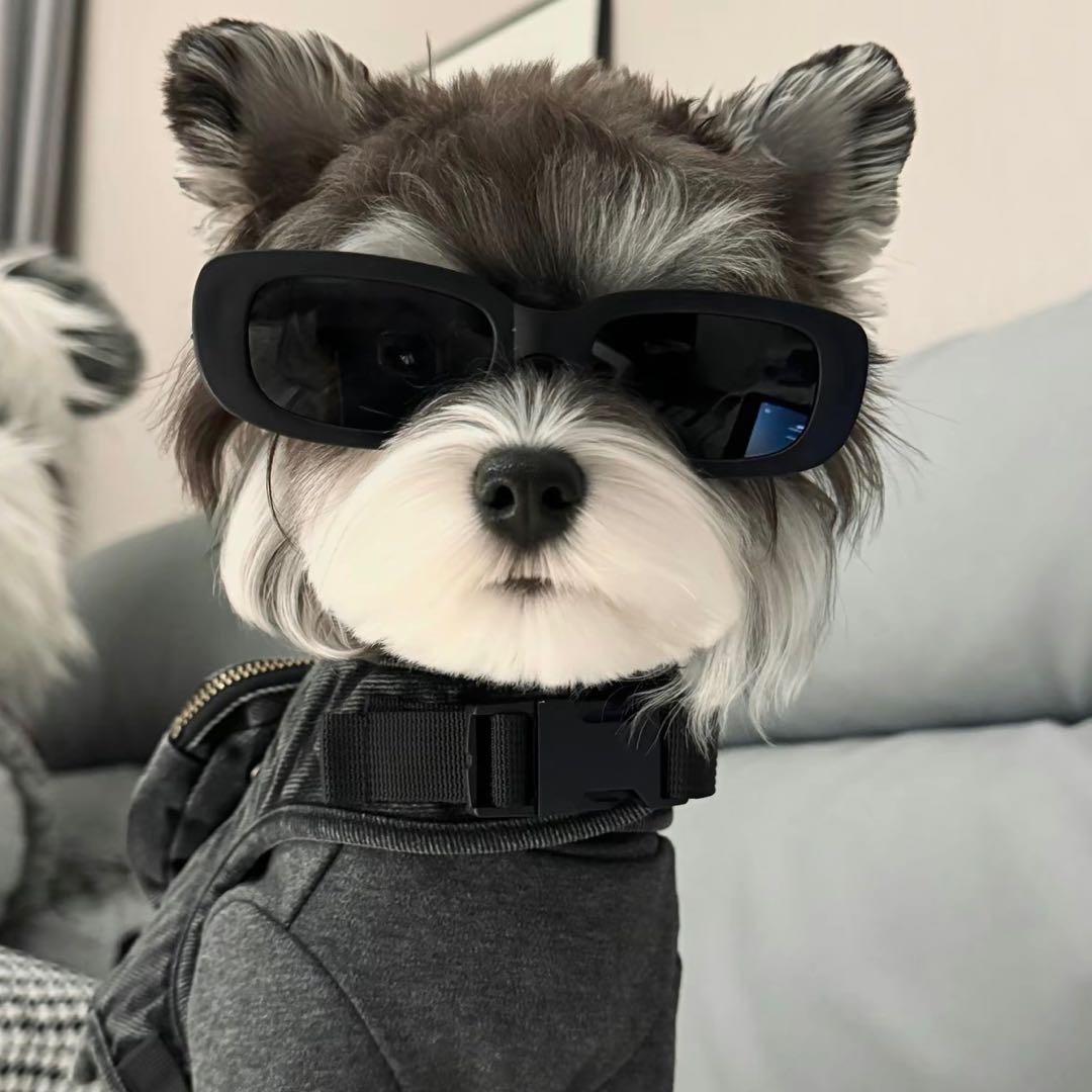 蛋总（三角洲行动）