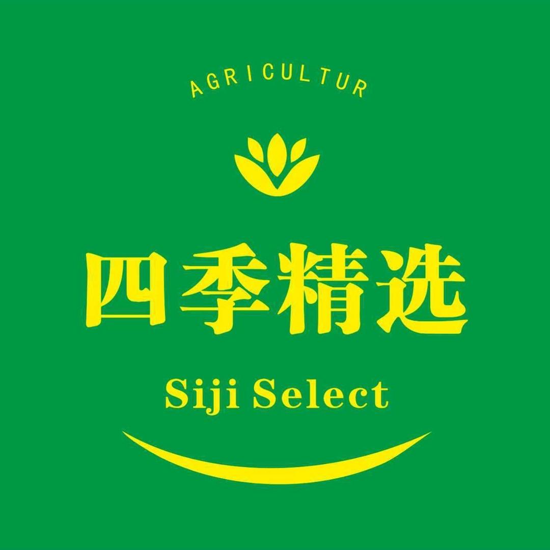四季精选