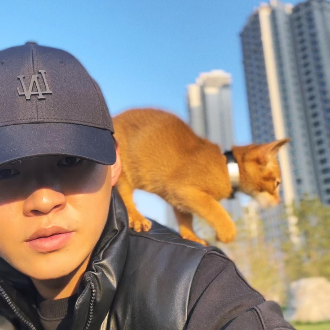 🍊橘子你个OR汁