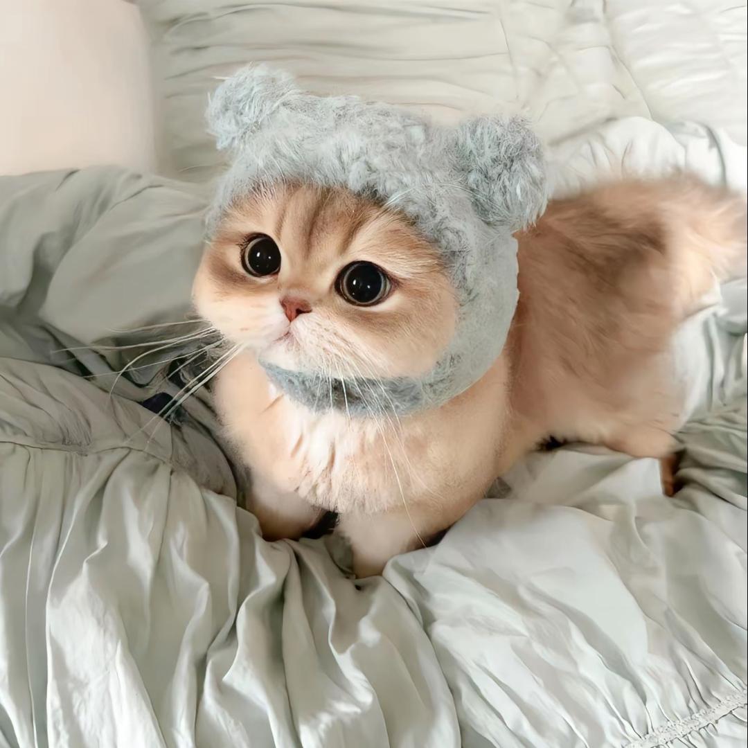 兮兮🍨