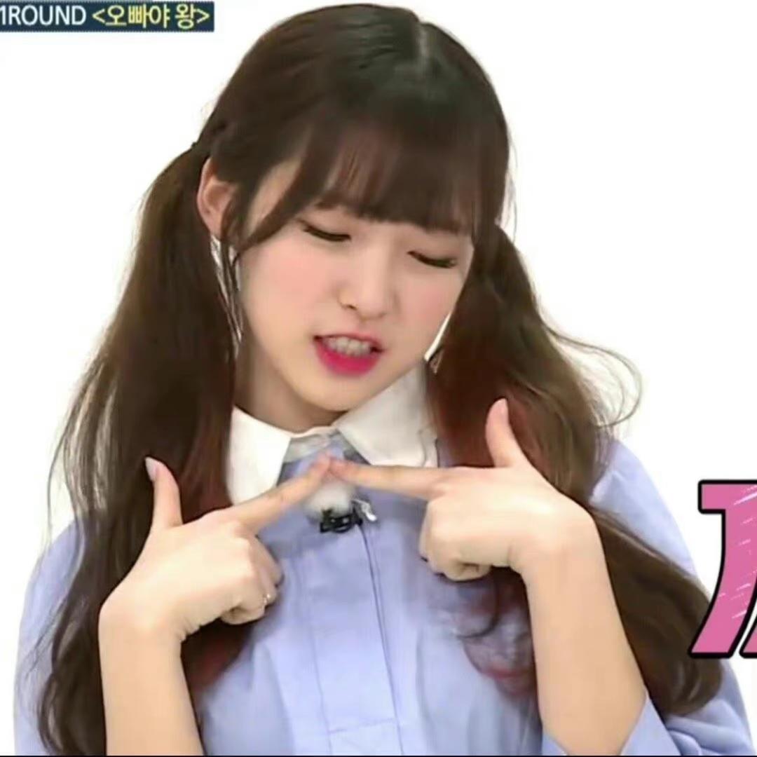 乃鲨鲨鲨鲨鲨（没招了版