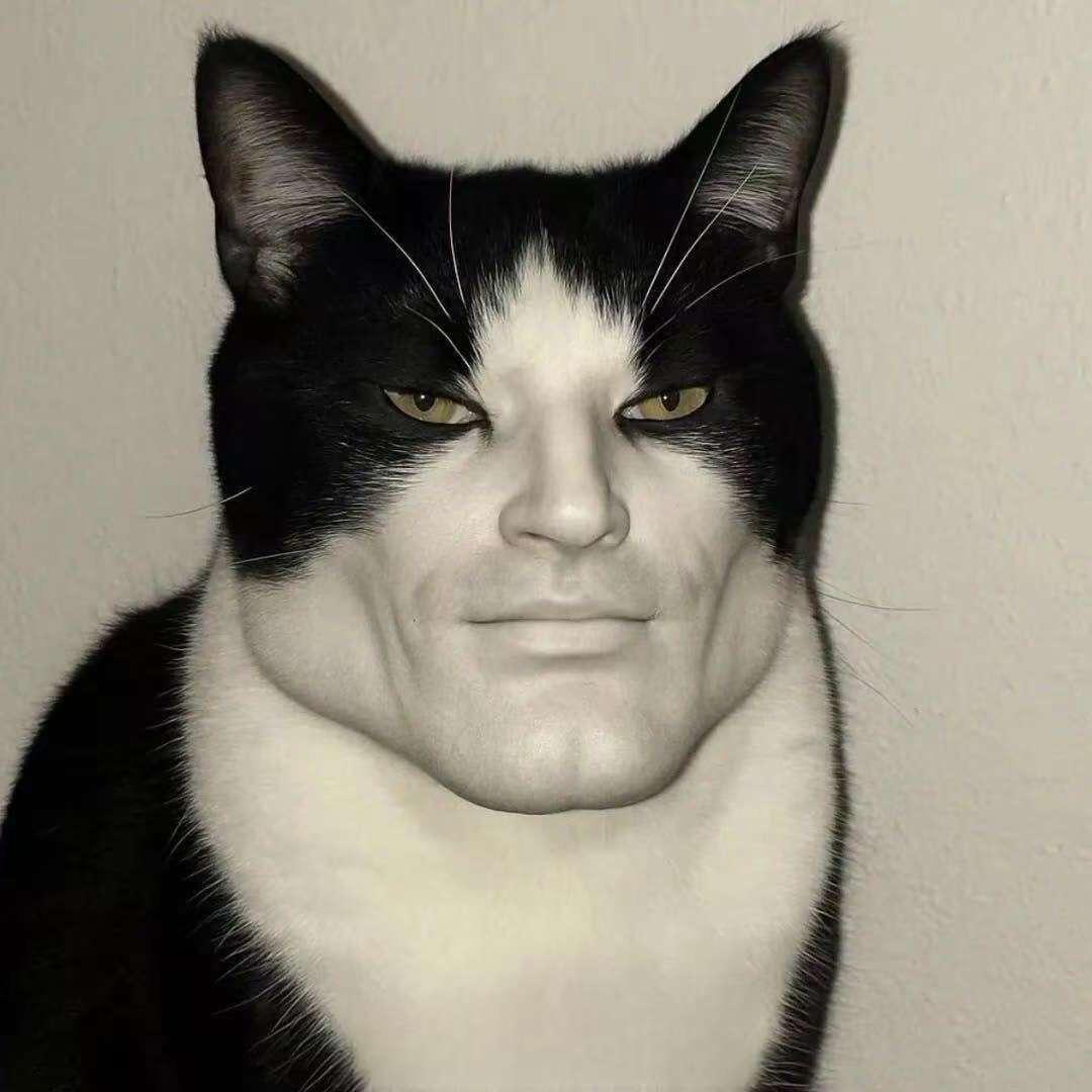 不重逢
