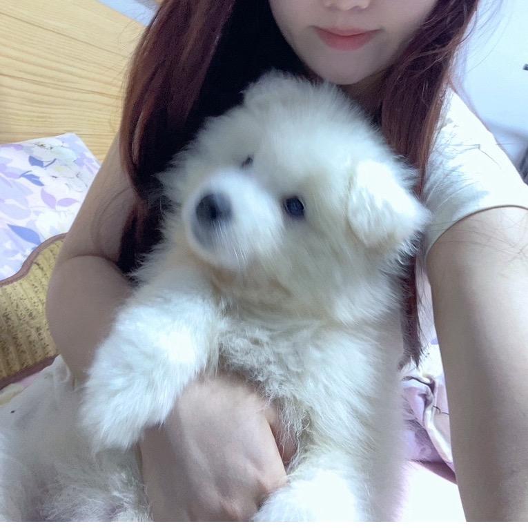 可凡儿