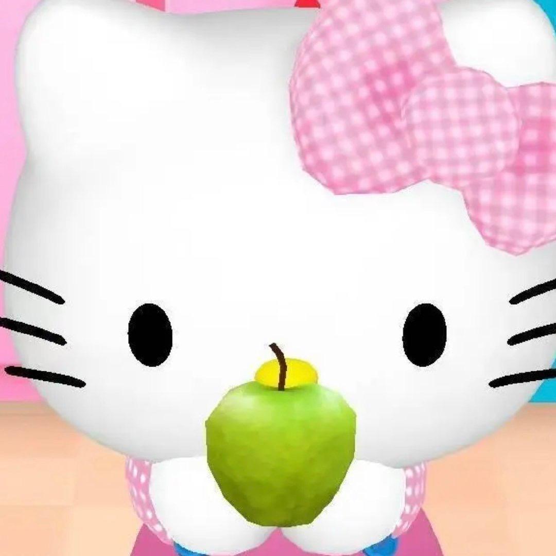 我是熊猫kitty奴˖⁺