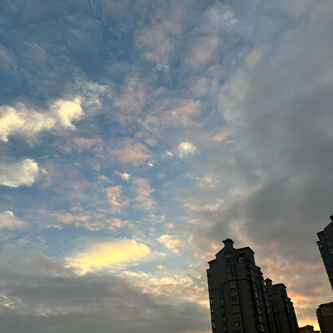 王富贵儿得贵儿。