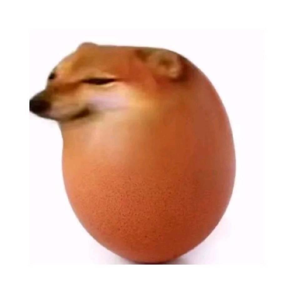 一颗臭鸡蛋