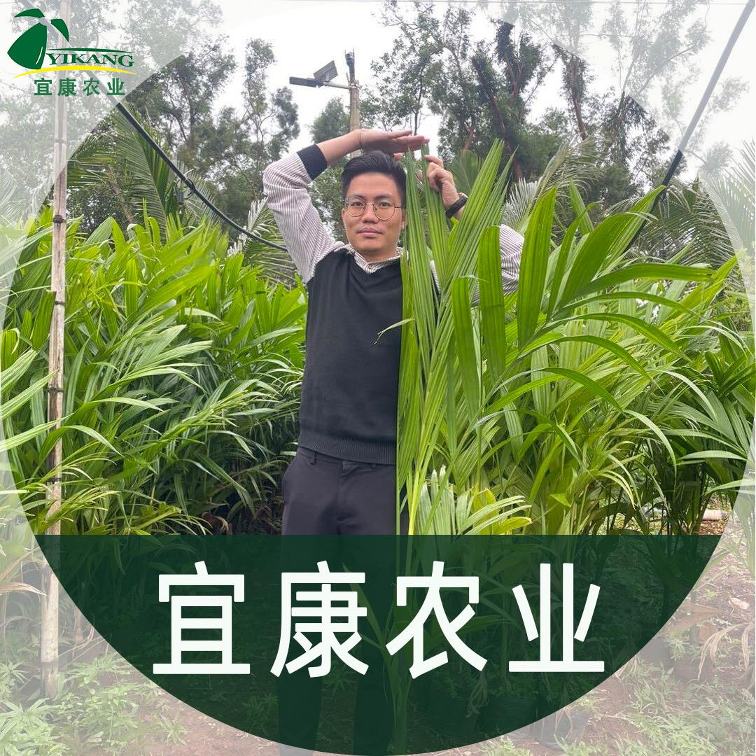 海南宜康农业吴校