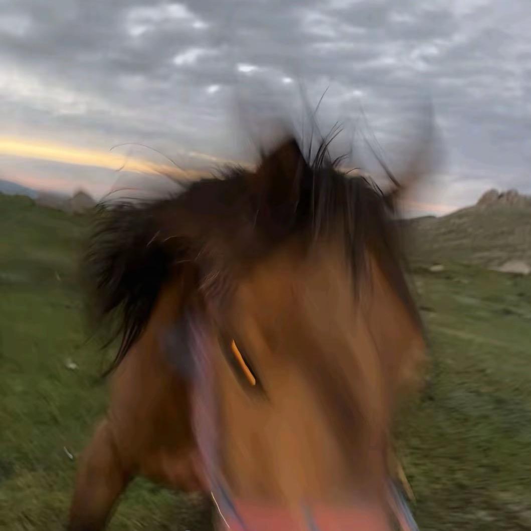 一个点