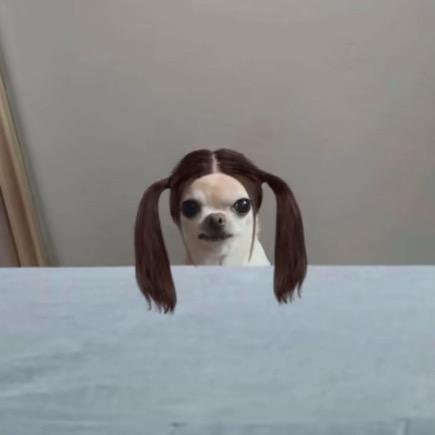 逍遥姐