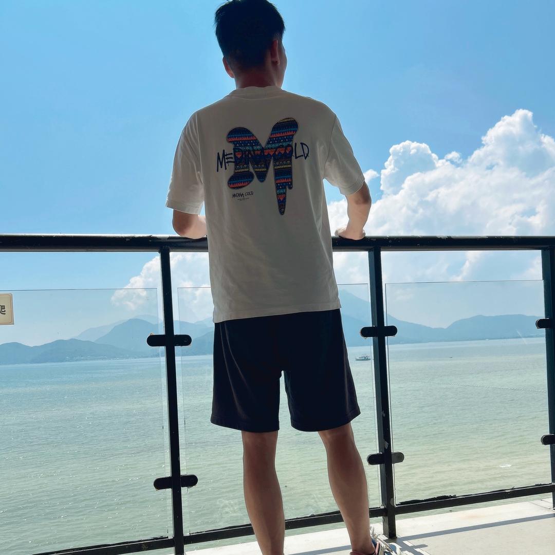 自由的风。
