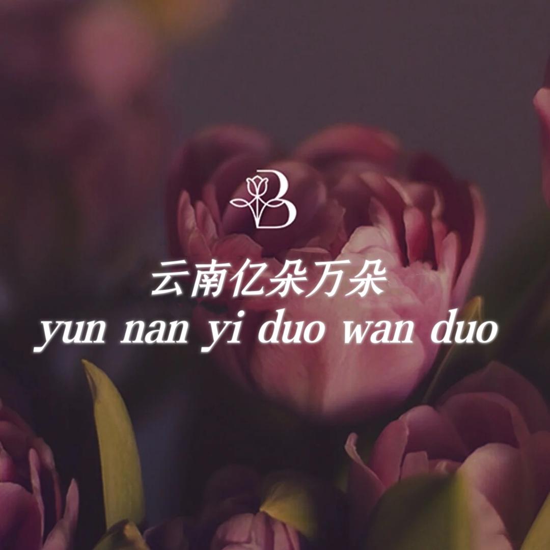 云南亿朵万朵花卉经营部