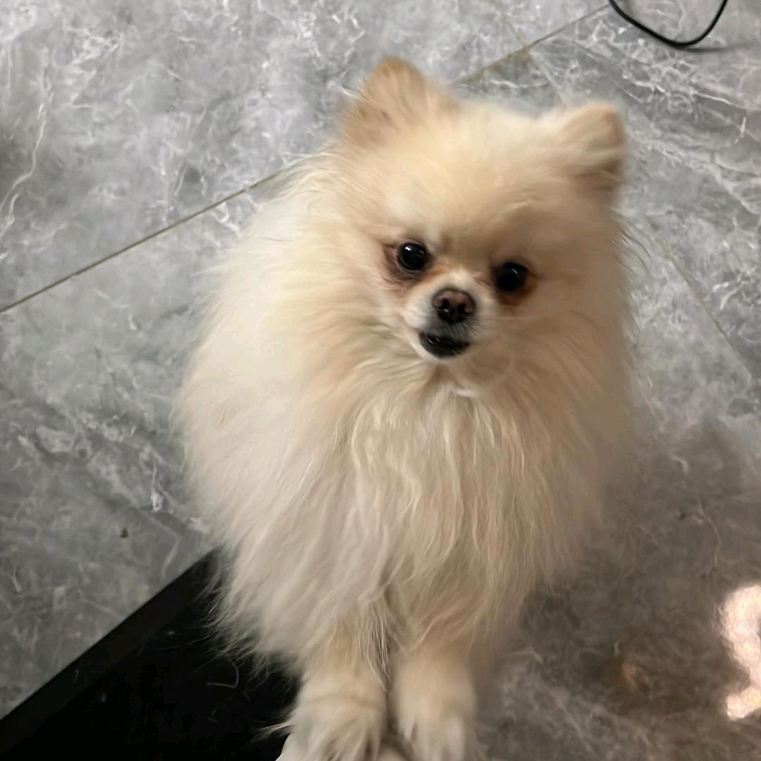 七彩云🌤️